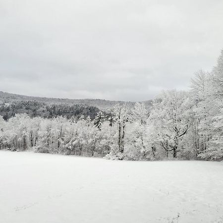 Franklyn Farm Inn Chester Bagian luar foto