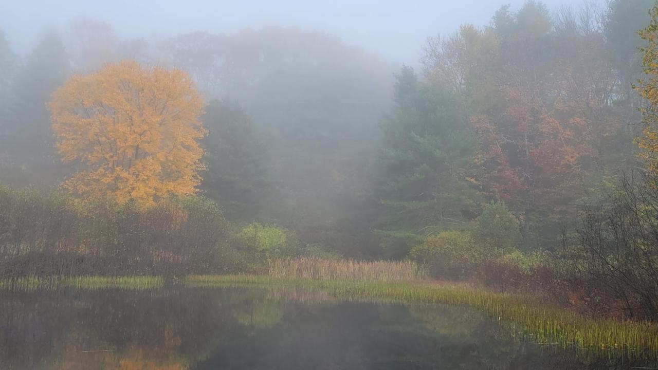 Franklyn Farm Inn Chester Bagian luar foto